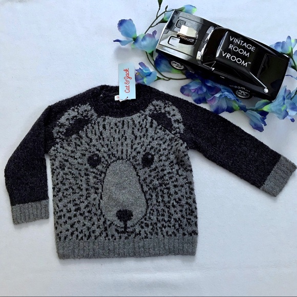 Cat & Jack NWT Sweater and Vest Bundle Boys 2T - Picture 2 of 11